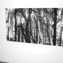 claudia schumann, installationview, untitled, 2006, 85 x 135 cm, photography